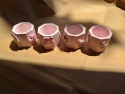 Baby shower souvenirs pink or blue pot