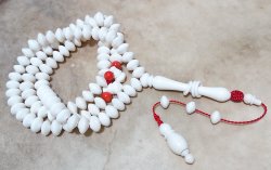 Camel Bones with Red Coral Rosary 